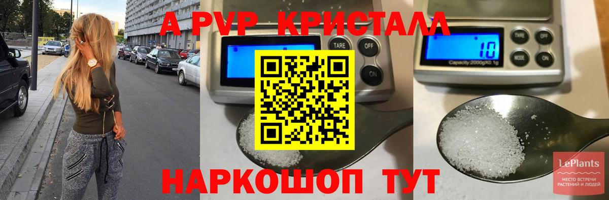 Альфа ПВП СК Пермь