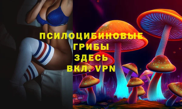 а пвп мука Алзамай