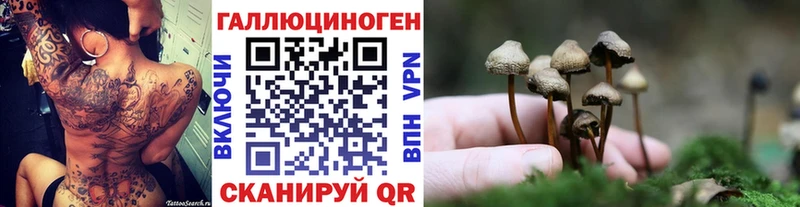 площадка формула Пермь Псилоцибиновые грибы ЛСД цена